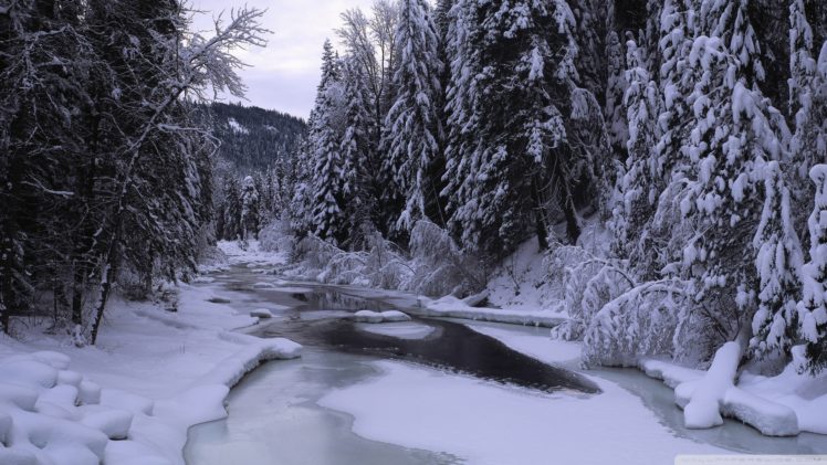 nature, Winter, Seasons HD Wallpaper Desktop Background