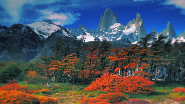 landscapes, Beech, Mount HD Wallpaper Desktop Background