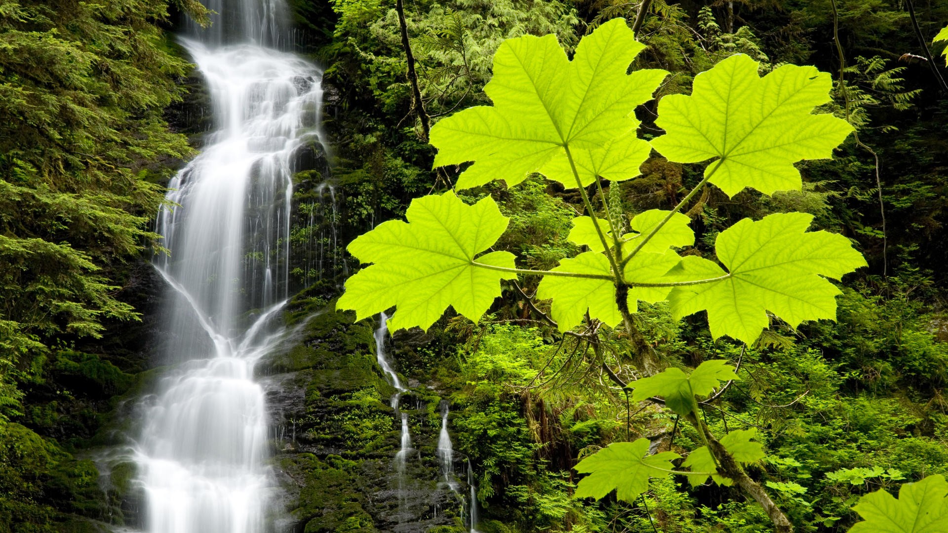 spring, Falls, Rivers, Washington, Boulder Wallpaper