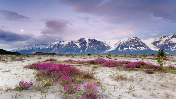 mountains, Alaska HD Wallpaper Desktop Background