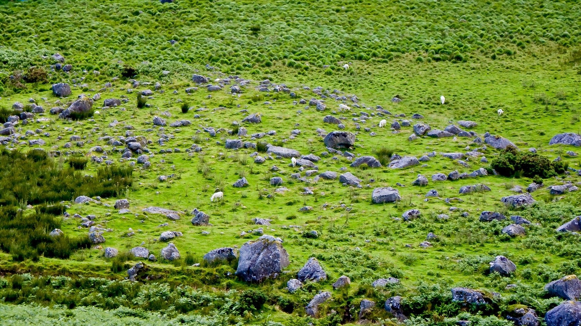 green, Nature, England, Grass, Rocks Wallpaper