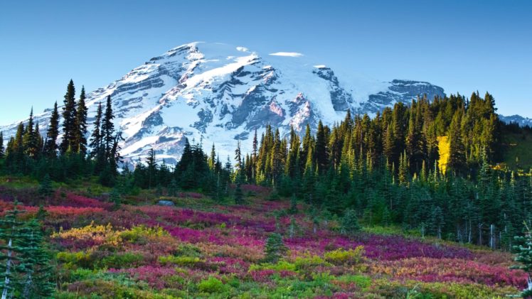 mountains, Landscapes, Nature, Trees HD Wallpaper Desktop Background