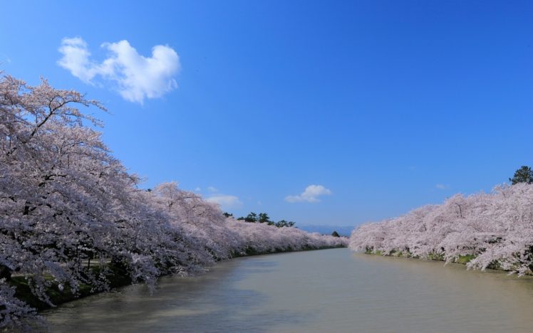 water, Japan, Blossoms, Rivers, Skyscapes HD Wallpaper Desktop Background