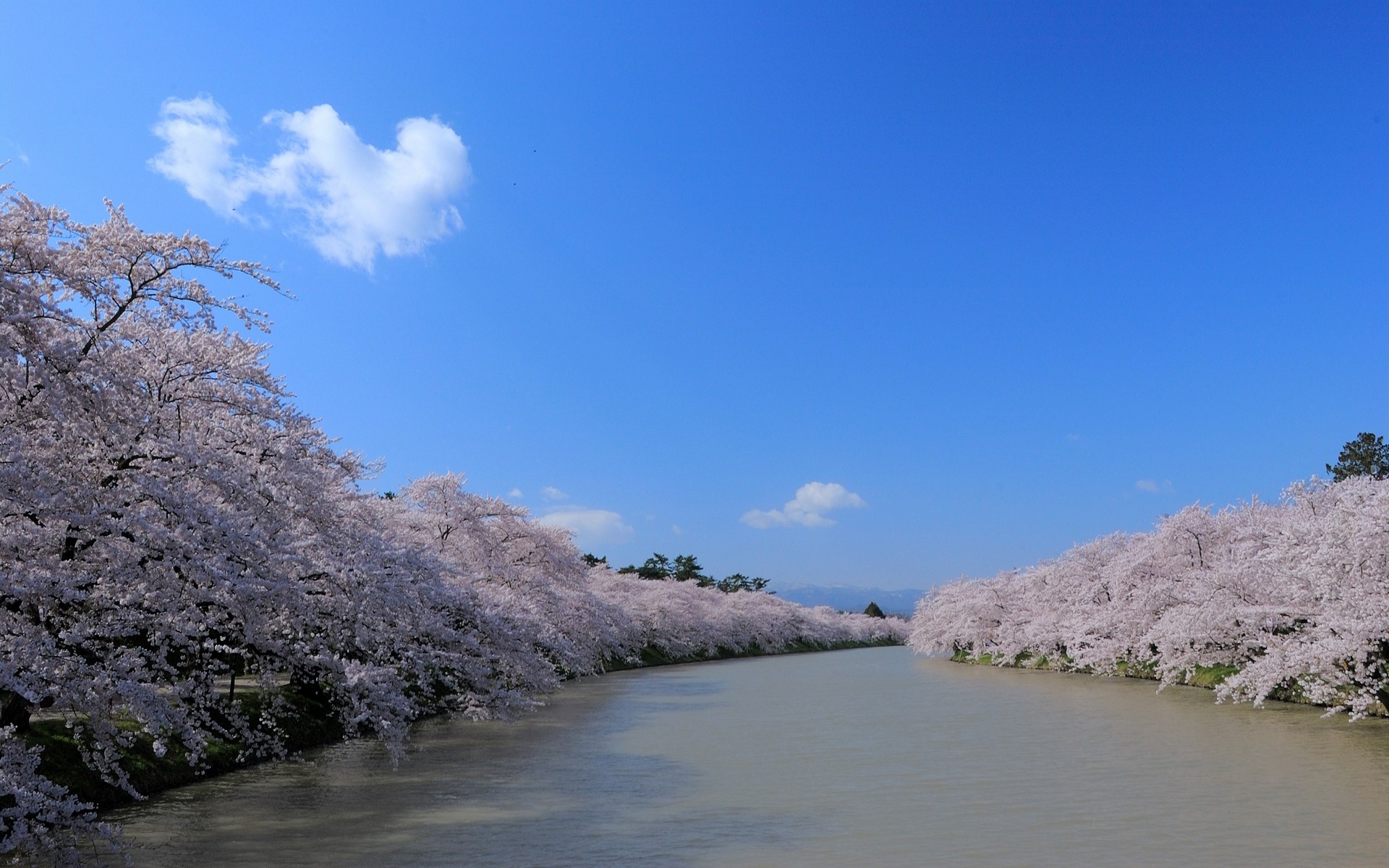 water, Japan, Blossoms, Rivers, Skyscapes Wallpaper
