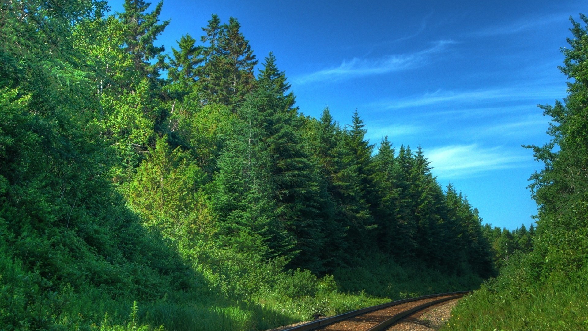 trees, Forests, Railroads Wallpaper