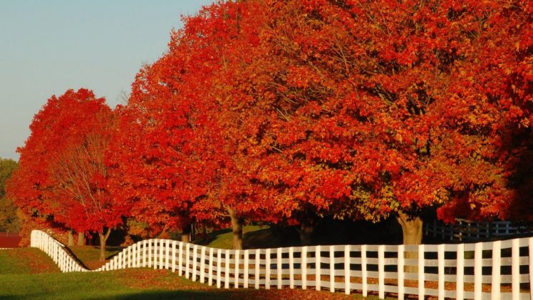 landscapes, Autumn HD Wallpaper Desktop Background
