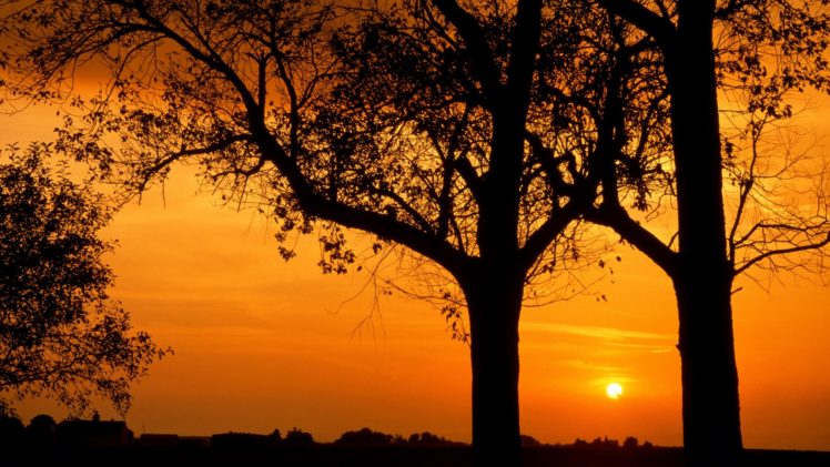 sunset, Nature, Trees, Illinois HD Wallpaper Desktop Background