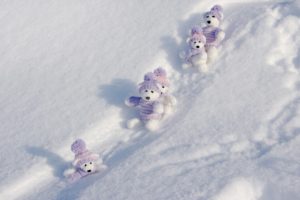 winter,  season , Snow, Teddy, Bears