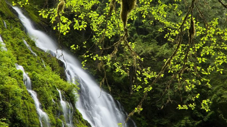 water, Landscapes, Nature, Waterfalls HD Wallpaper Desktop Background