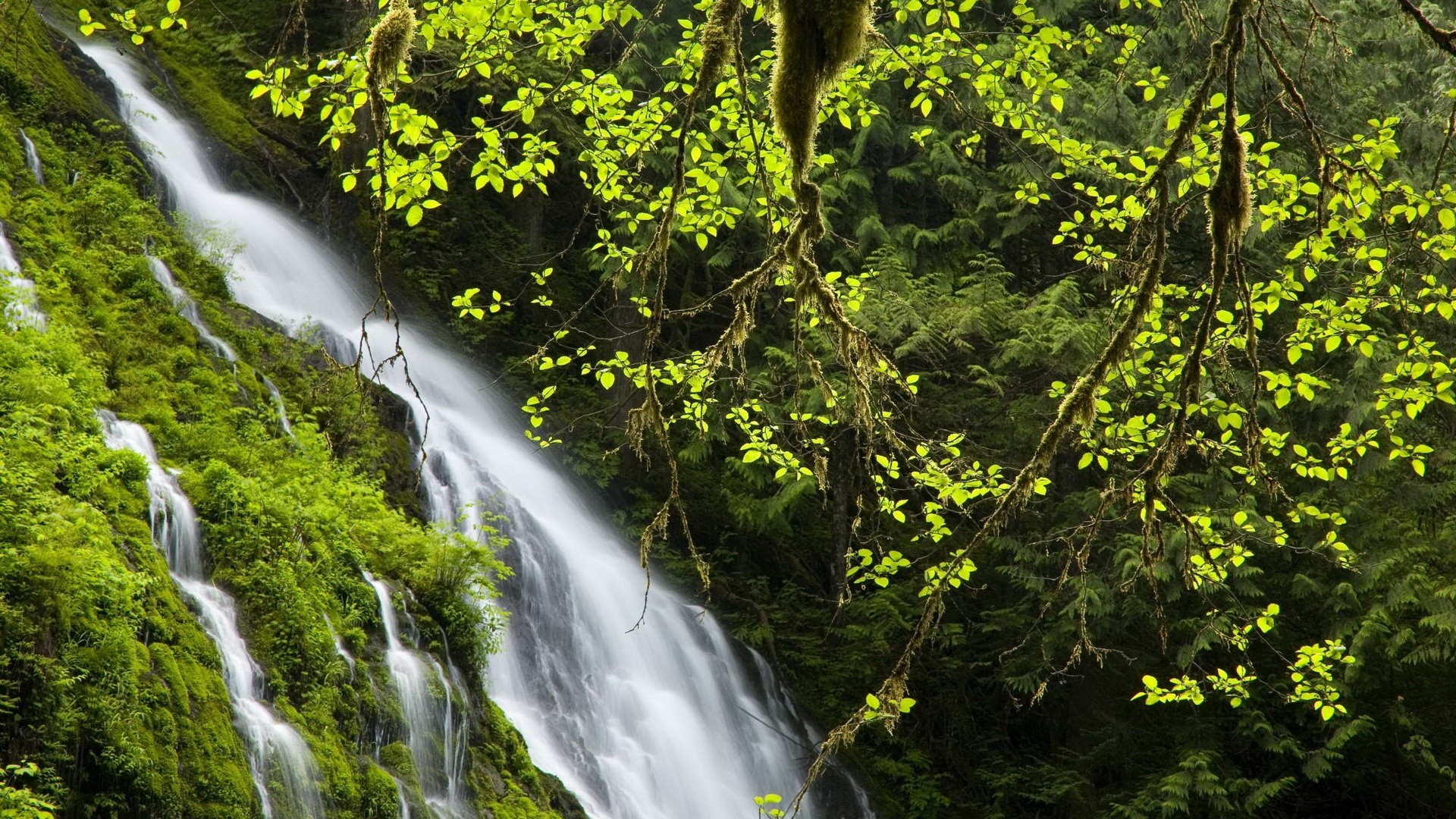 water, Landscapes, Nature, Waterfalls Wallpaper