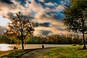 clouds, Landscapes, Trees, Paths, Bench, Lakes