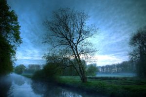 landscapes, Trees, Fog, Rivers, Reflections
