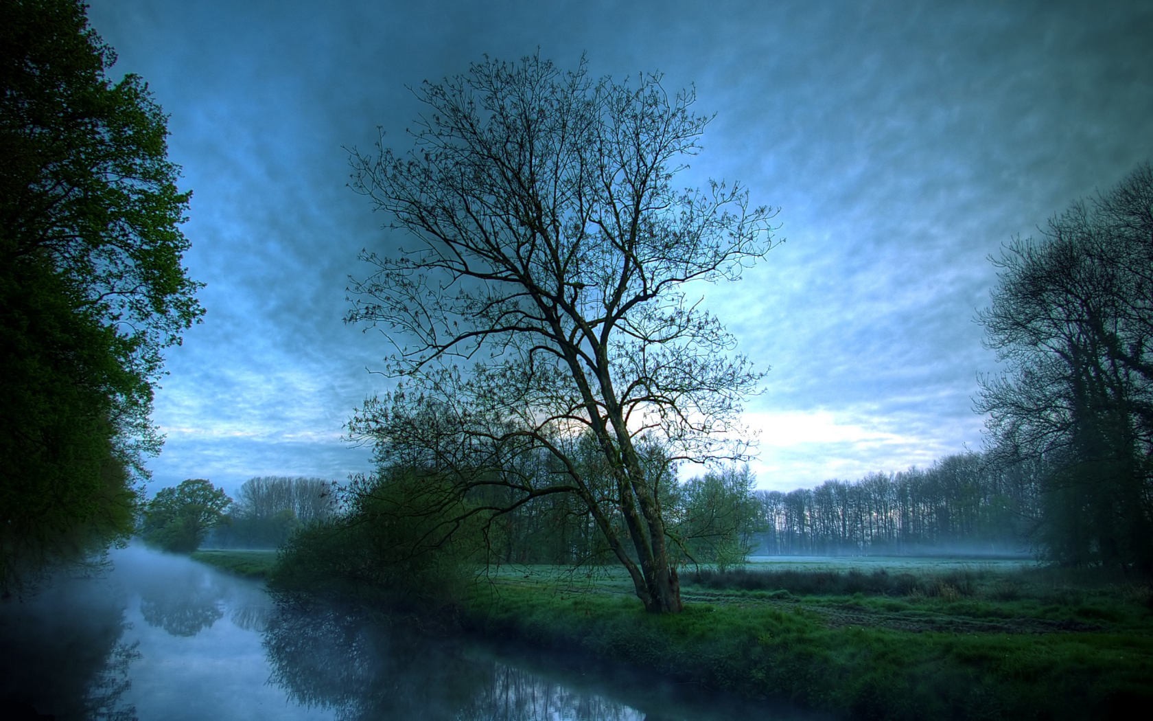 landscapes, Trees, Fog, Rivers, Reflections Wallpaper