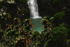 tropical, Paradise, Palm, Trees, Waterfalls
