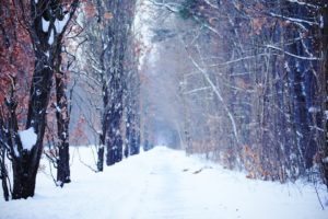 landscapes, Winter, Snow, Trees