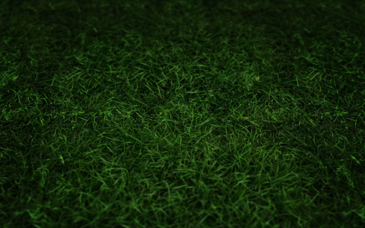 green, Grass HD Wallpaper Desktop Background