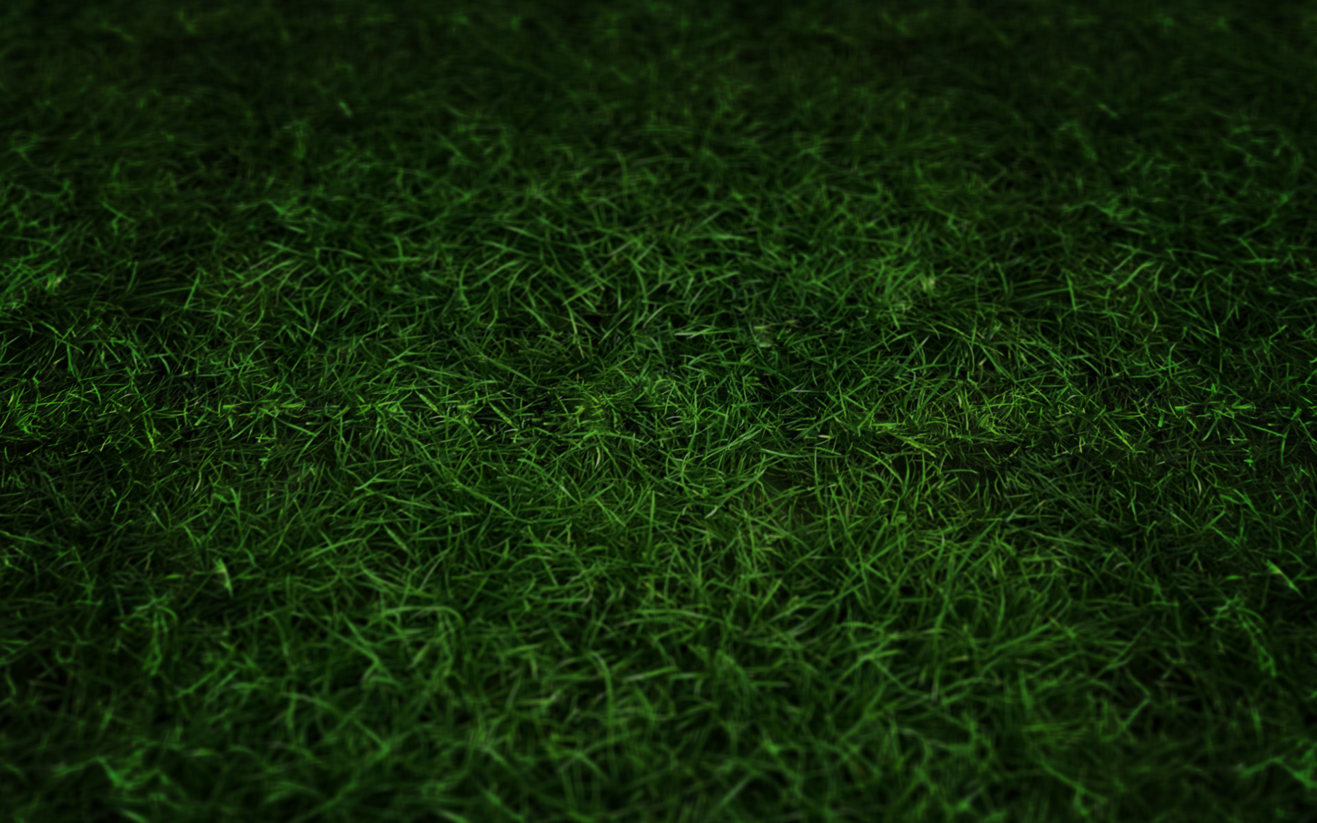 green, Grass Wallpapers HD / Desktop and Mobile Backgrounds