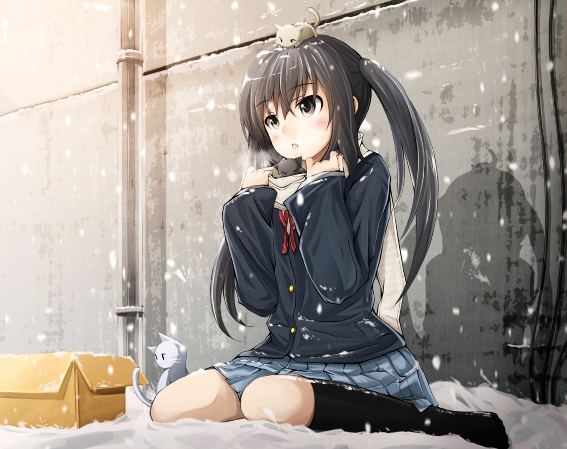 snow, K on , Cats, School, Uniforms, Nakano, Azusa, Anime, Girls, Knee, Socks Wallpaper