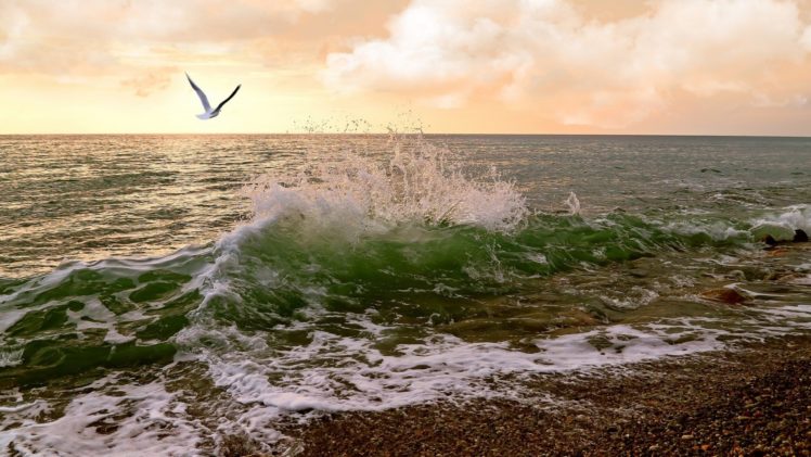 ocean, Landscapes, Nature, Waves, Seagulls, Sea, Shorelines, Sea, Beaches HD Wallpaper Desktop Background