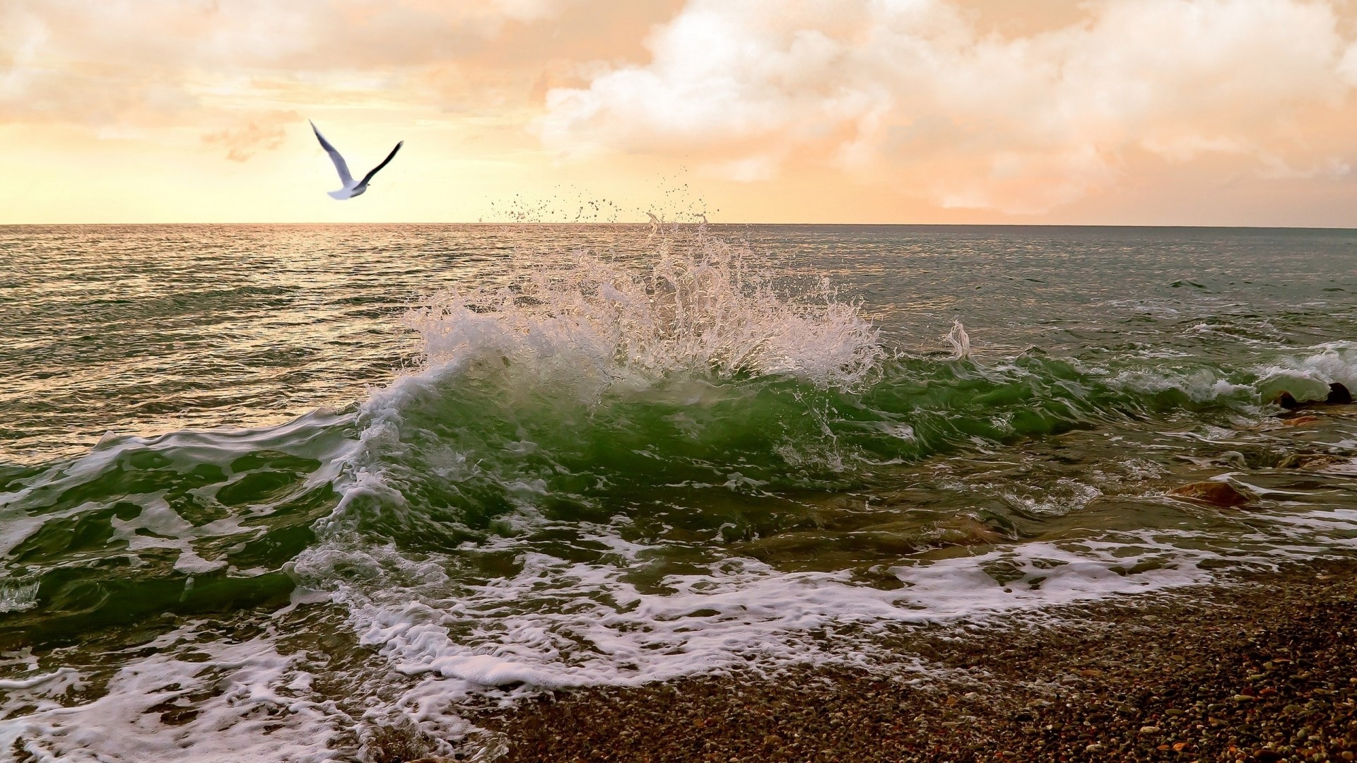 ocean, Landscapes, Nature, Waves, Seagulls, Sea, Shorelines, Sea, Beaches Wallpaper