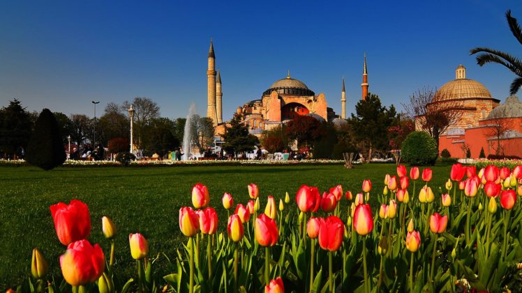 cityscapes, Tulips, Turkey, Hagia, Sophia, Istanbul, Cities, Mosques HD Wallpaper Desktop Background