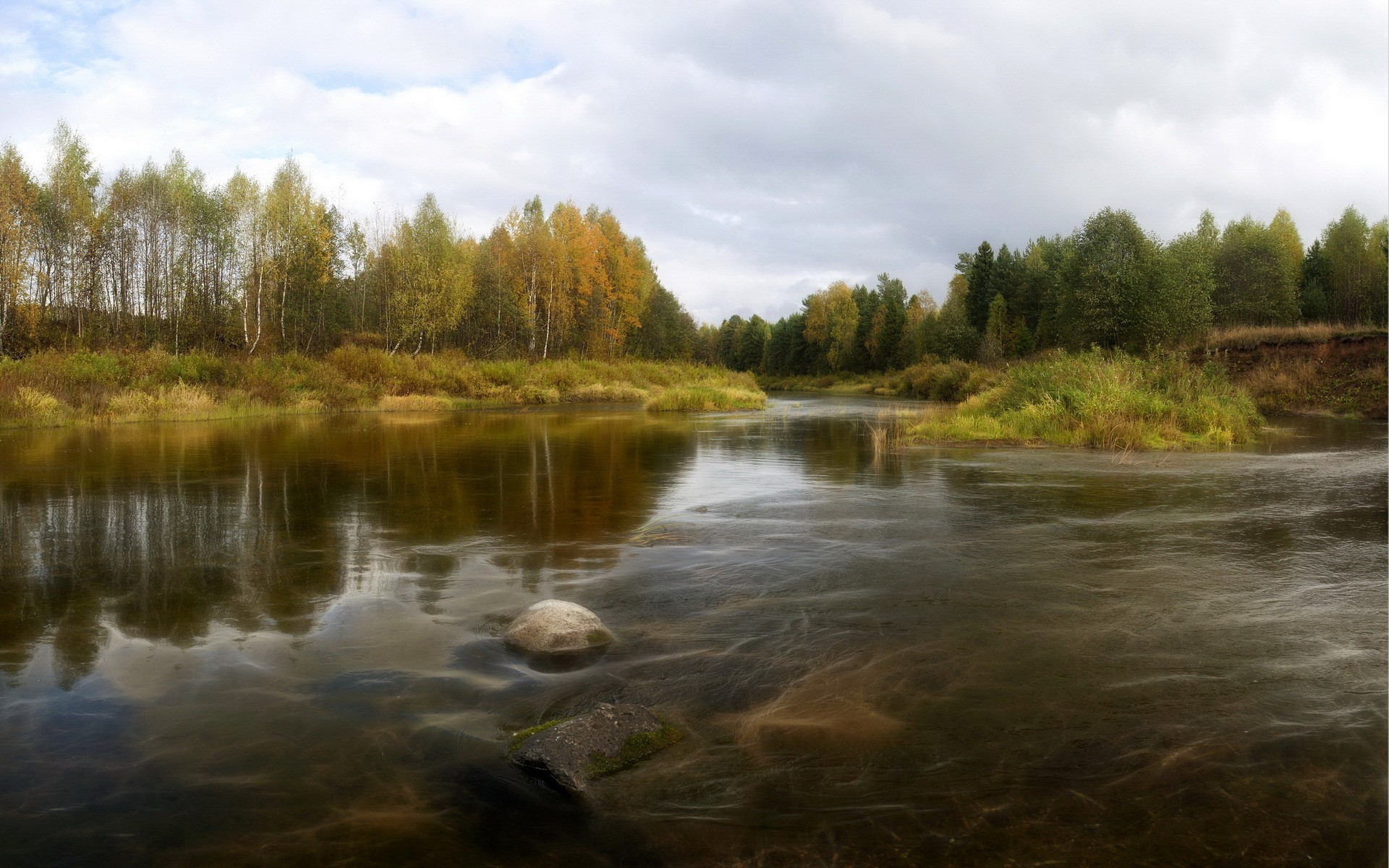 nature Wallpaper
