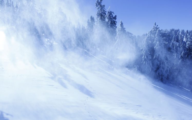 nature, Winter, Snow, Forests HD Wallpaper Desktop Background