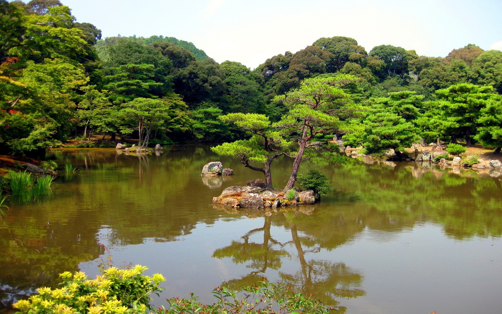 landscapes, Nature Wallpaper