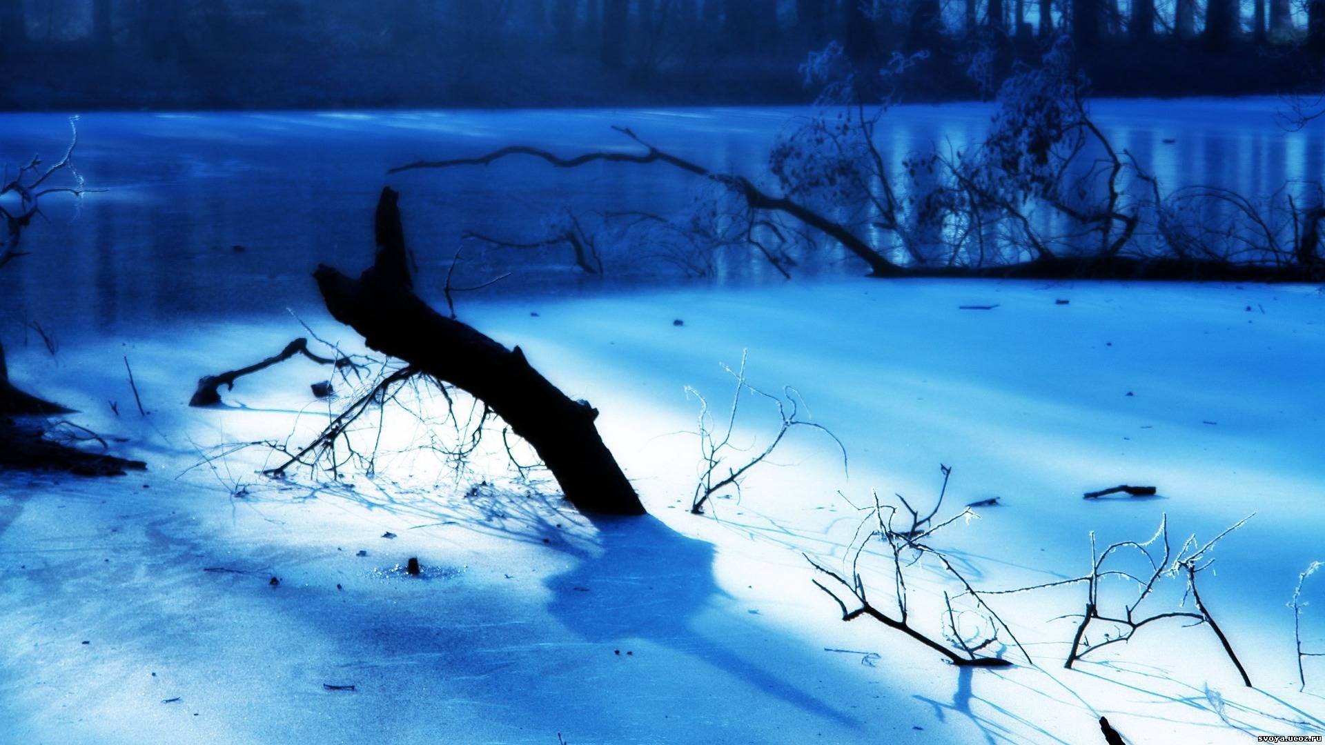 winter Wallpaper