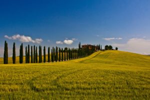 landscapes, Fields, Italy