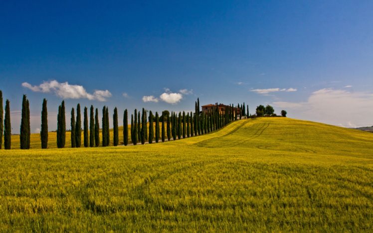 landscapes, Fields, Italy HD Wallpaper Desktop Background