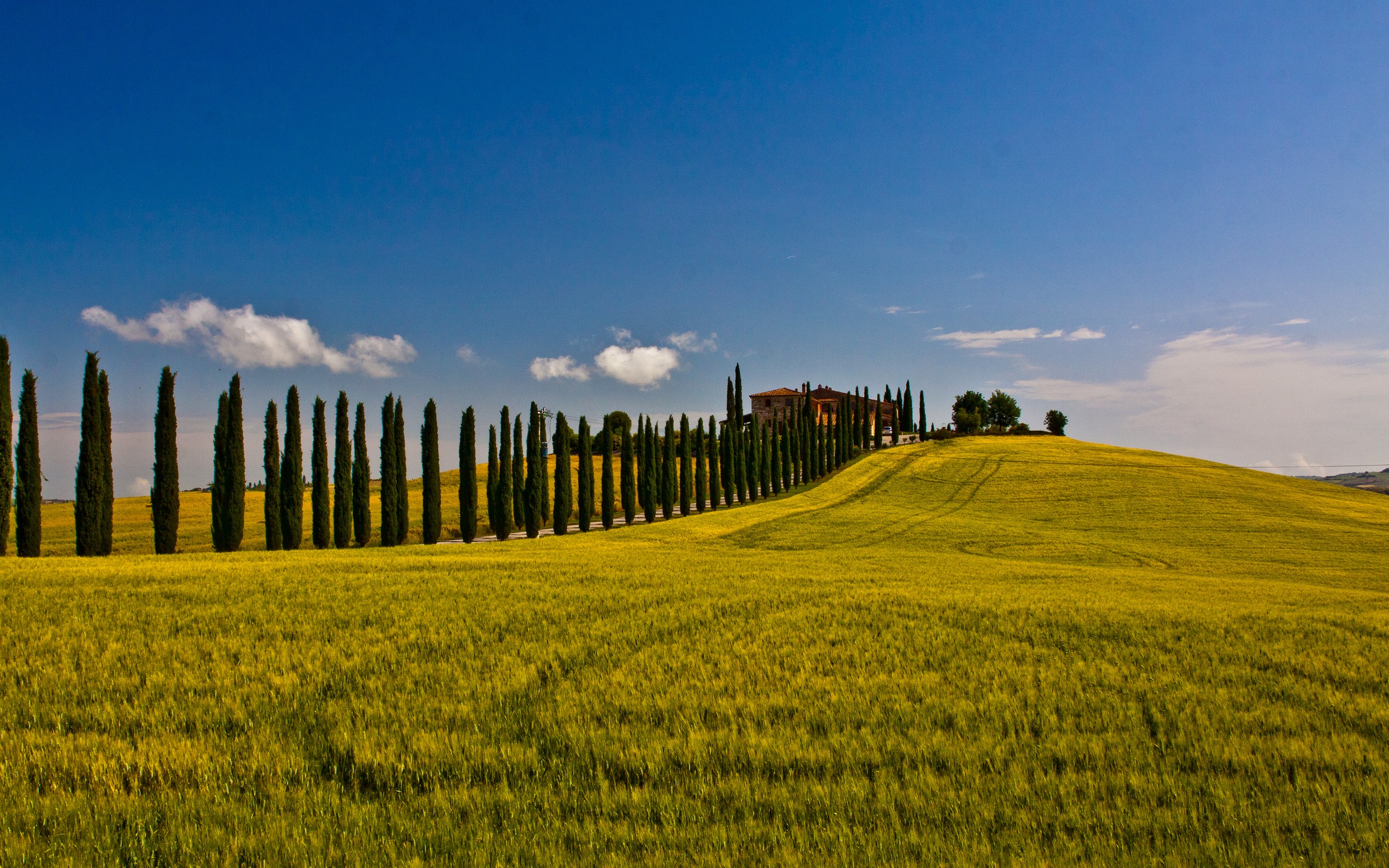 Landscapes Fields Italy Wallpapers Hd Desktop And Mobile Backgrounds
