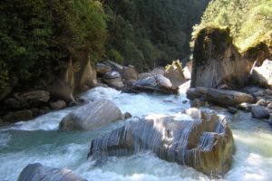 nature, Forests, Rivers, Rapids