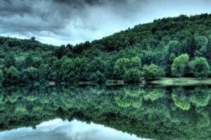 green, Nature, Trees, Forest, Lakes, Skyscapes, Atmospheric