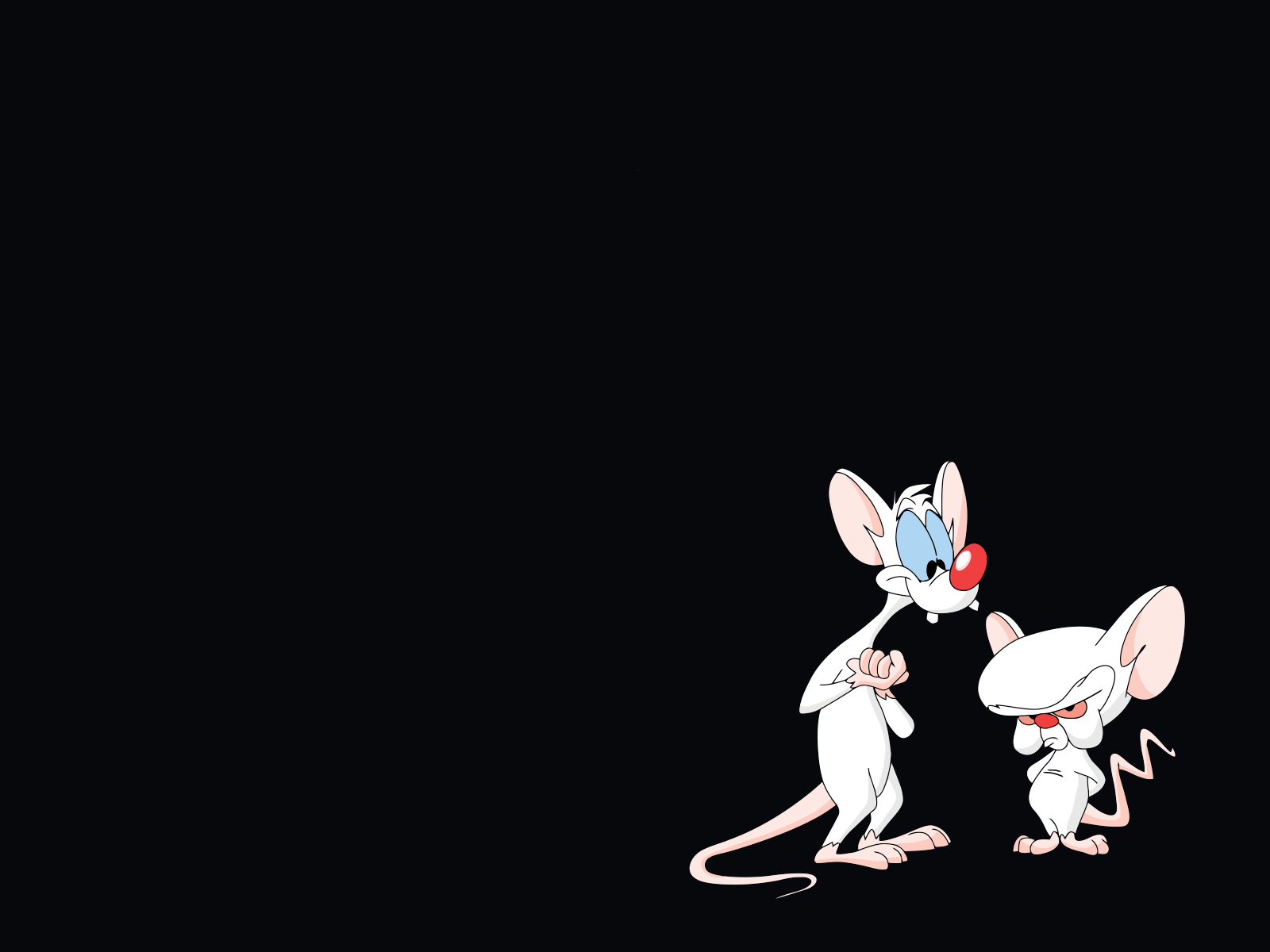 pinky, And, The, Brain Wallpaper