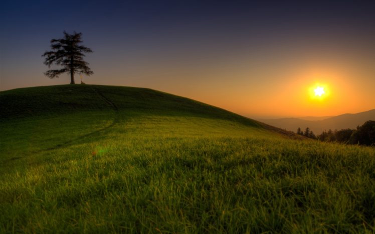 sunset, Landscapes, Fields HD Wallpaper Desktop Background