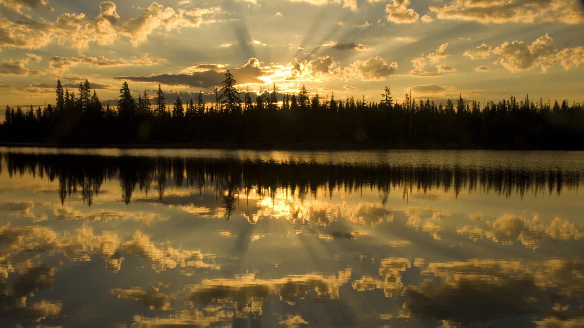 sunset, Sunrise, Forests, National, Scenic, Oregon Wallpaper