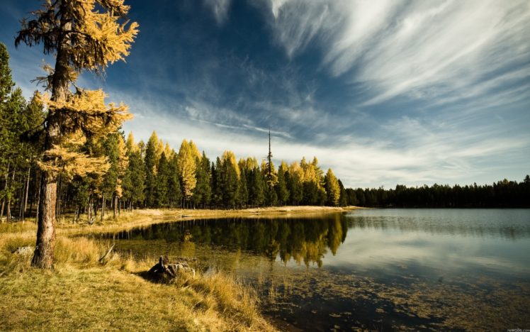 nature, Trees, Lakes HD Wallpaper Desktop Background