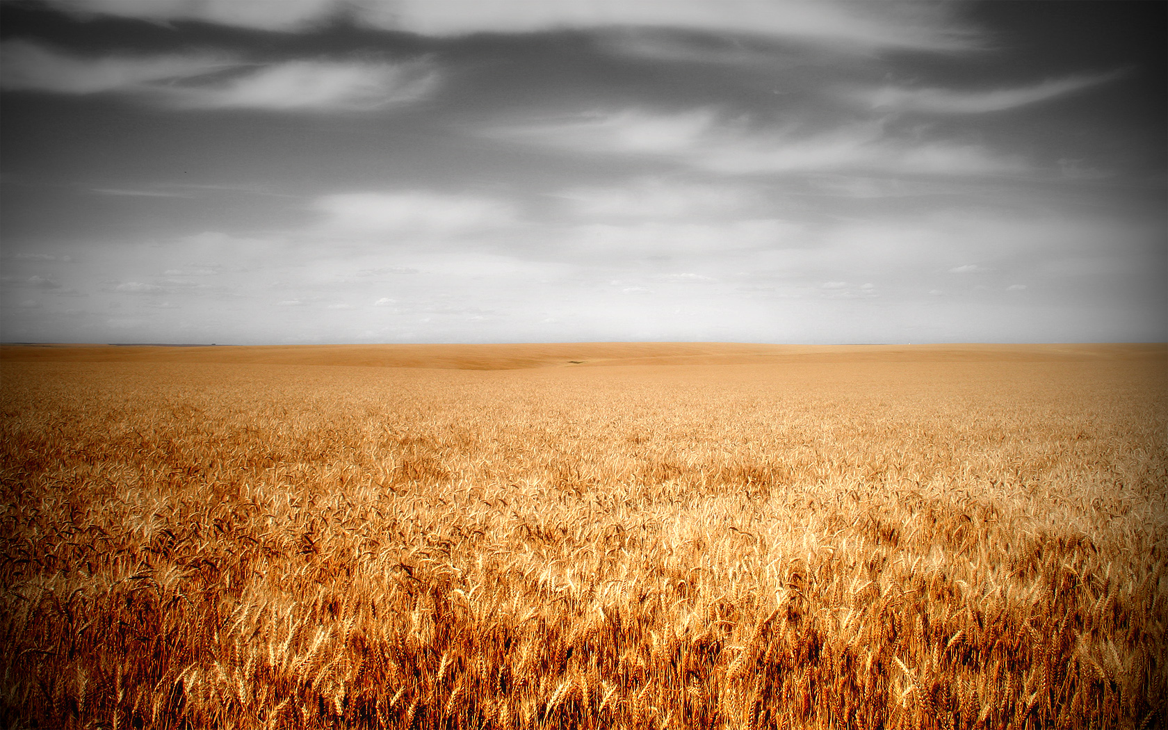 clouds, Landscapes, Nature, Fields, Wheat Wallpaper