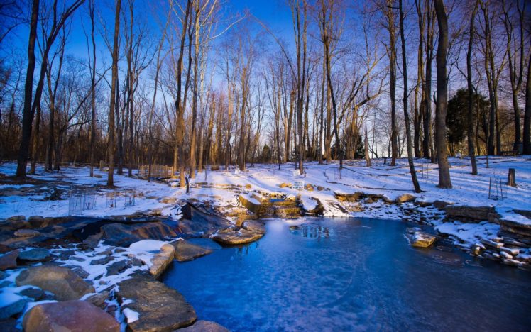 snow, Trees, Ponds HD Wallpaper Desktop Background