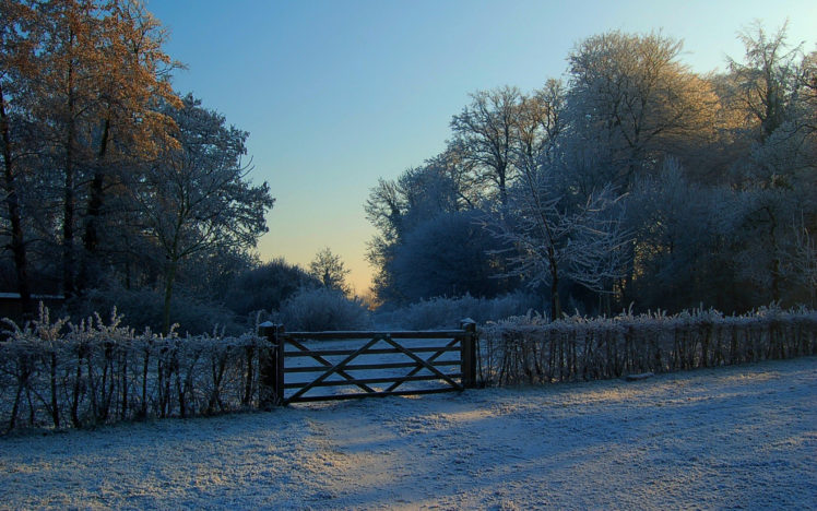 landscapes, Winter, Snow, Trees HD Wallpaper Desktop Background