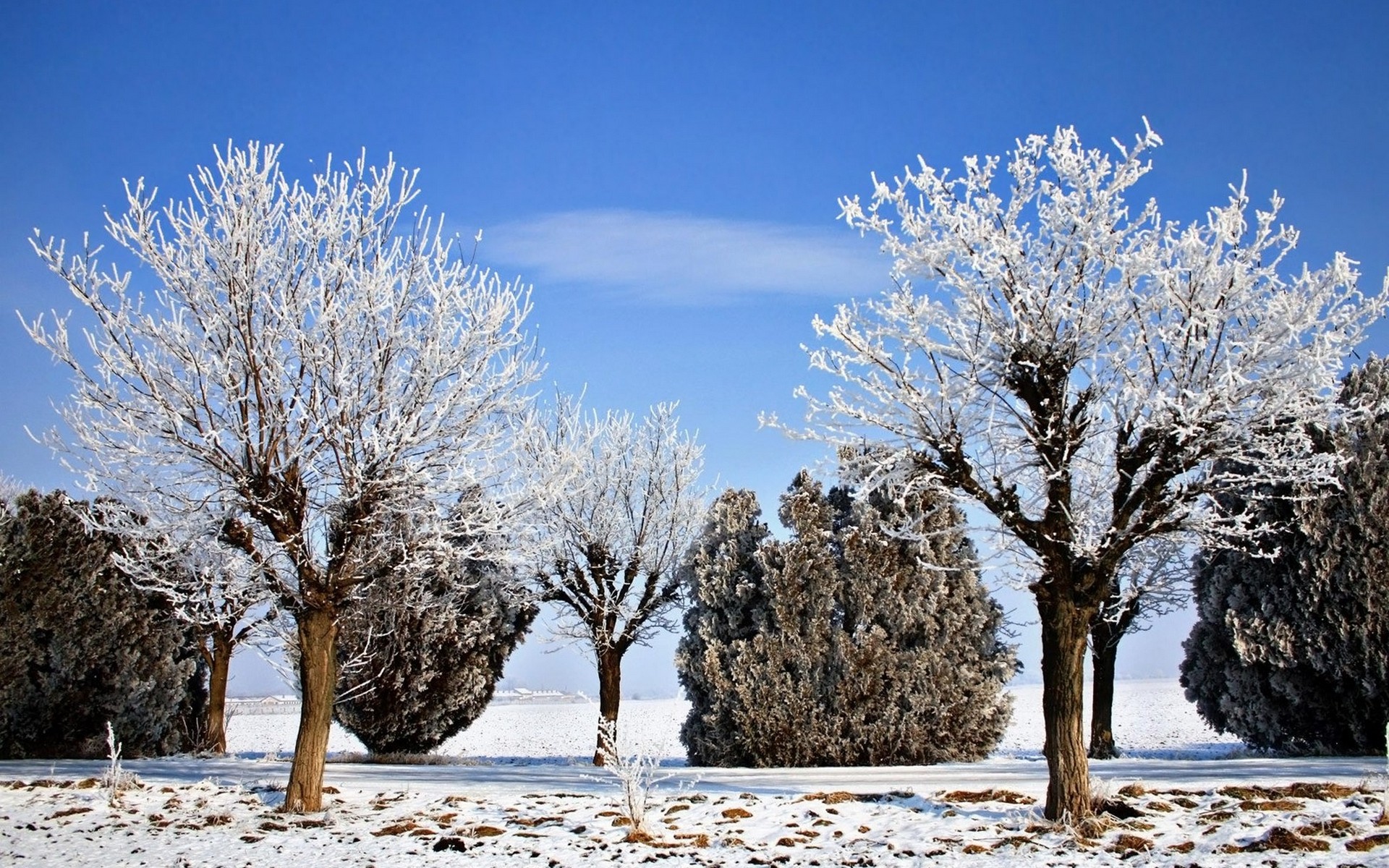 Картинки с сезонами года зима