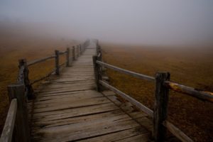 fog, Mist, Wooden, Bridge