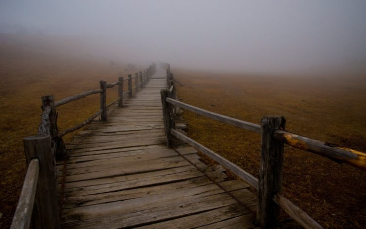 fog, Mist, Wooden, Bridge HD Wallpaper Desktop Background