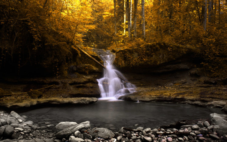 landscapes, Forests, Waterfalls HD Wallpaper Desktop Background