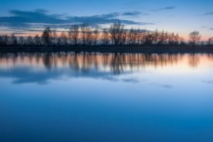 landscapes, Trees, Reflections, Blue, Skies
