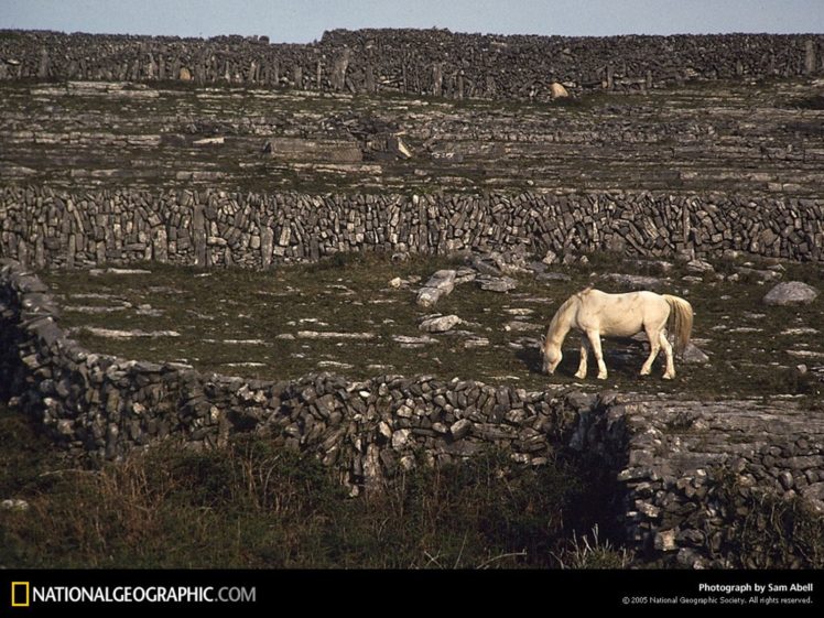 nature, Rocks, National, Geographic, White, Horse HD Wallpaper Desktop Background