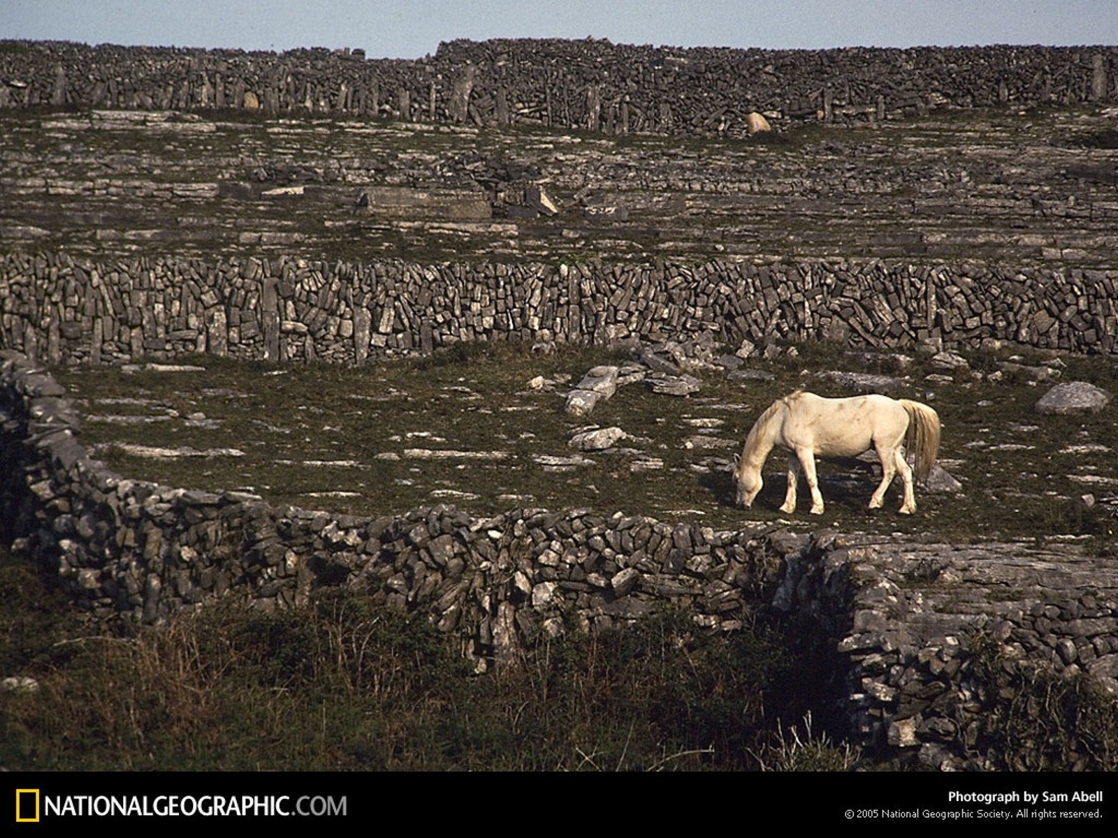 nature, Rocks, National, Geographic, White, Horse Wallpaper