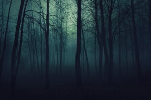 creepy, Trees, Dark, Forests, Mist