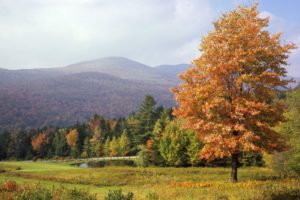 autumn, Vermont, Mount